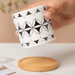 Nestasia Printed Magic Planter And Wooden Coaster-picture-32