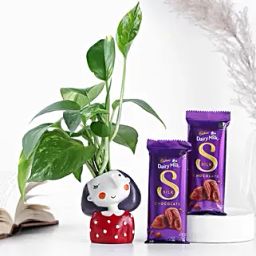 Money Plant in Girl Resin Pot & Cadbury Chocolates-image-62