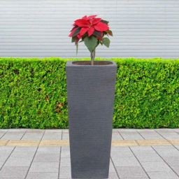 nora Long Square Grey Polyethylene Floor Planter-picture-42