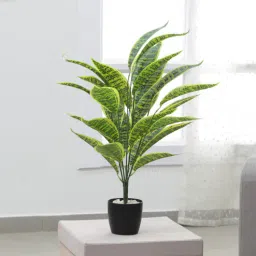 Polyester Snake Artificial Plant Without Pot by Arick Decor-picture-34