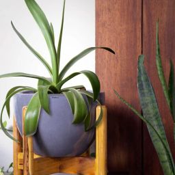 harla arts Echoing Eternity Grey Porcelain Floor Planters With Stand-picture-19