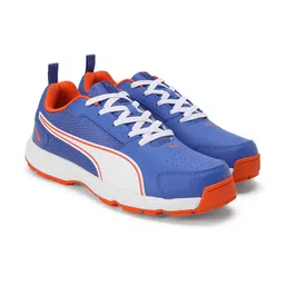 Puma Men Cricket High Run Shoes-picture-46