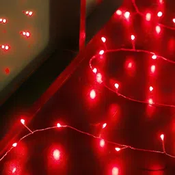 ENORMITY Red Rice Shape String Lights-44