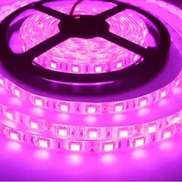 ENORMITY Pink Strip Rope Shape String Light-41