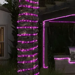 ENORMITY Pink Rice Shape String Lights image 3