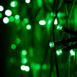 SPARK WORLD Green Rice Shaped String Lights image 3