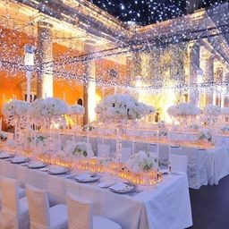 SPARK WORLD White LED String Lights image 3