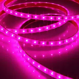 SPARK WORLD Pink Rice Shape String Light image 4