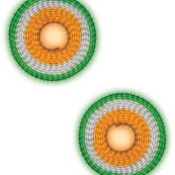 ENORMITY Orange & White Rice Shape String Lights image 1