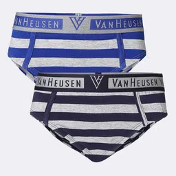 Van Heusen Boys Pack Of 2 Anti-Bacterial Striped Basic Briefs-20