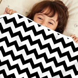 Divine Casa Kids Black Printed Reversible Microfiber AC Room 120 GSM Single Bed Dohar-picture-11