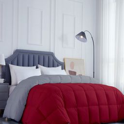 RAZZAI Microfiber Mild Winter 300 GSM Double Bed Comforter-image-30