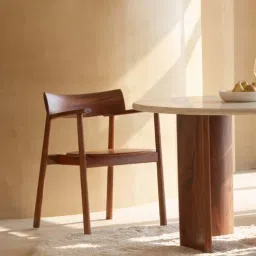 orange tree Abacus Solid Wood Dining Chair In Kaira Finish-picture-27