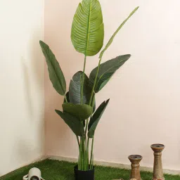 fourwalls Fabric Green Real Touch Banana With A Potation Artificial Plants-picture-7