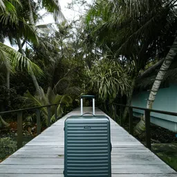 Assembly Textured 360 Degree Rotation Hard Medium-Sized Trolley Bag 60L image 2