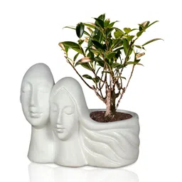 LASAKI White Textured Ceramic Couple Planter With Holder-image-41