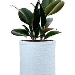 LASAKI Gloria White Textured Ceramic Planter-image-95