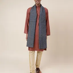 Fabindia Checked Stole-image-29