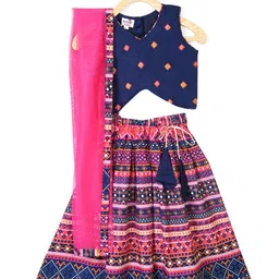 Kinder Kids Girls Blue & Pink Embroidered Ready to Wear Lehenga & Blouse With Dupatta-picture-41