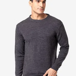 Allen Cooper Men Grey Round Neck Sweater-image-63