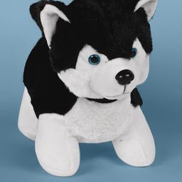 DukieKooky Kids Teddy Soft Toy-21
