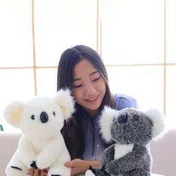 DearJoy Kids Koala Bear Microfibre Soft Toy-picture-15