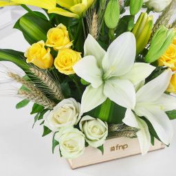 Elegant Bloom with Butterscotch Cake Combo image 2
