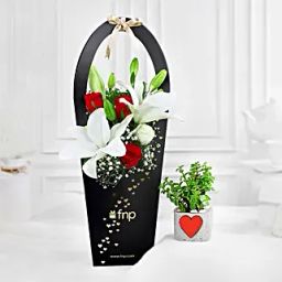 Rosey Wishes N Jade Plant Gift Combo-27