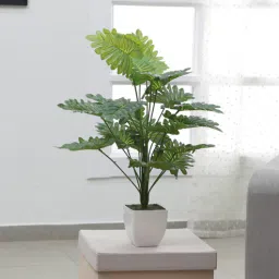 Plastic Lauren Green Miniature Silk Floor Artifical Philodendron Plants Without Pot by Arick Decor-picture-40