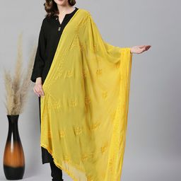 Dupatta Bazaar Embroidered Chiffon Dupatta-picture-41