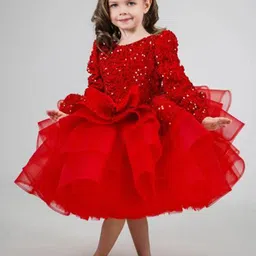 First Little Smile Embroidered Net Balloon Dress-image-75