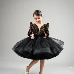First Little Smile Embroidered Net Balloon Dress-image-69