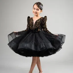 First Little Smile Embroidered Net Balloon Dress-image-68