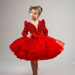 First Little Smile Embroidered Net Balloon Dress-image-44