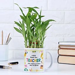 Personalised Teachers Day Lucky Bamboo Gift-image-24