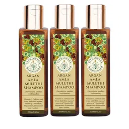 VITMINVEDA Set of 3 Argan Amla Mulethi Shampoo to Reduce Frizz - 200 ml Each-16