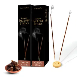 Imvelo Green your hygiene Puremazing 2 Pieces Brown Guggal Natural Incense Sticks-45