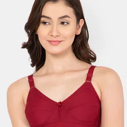 Lady Lyka Cotton Seamless Non Padded Bra-image-27