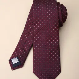 Louis Philippe Men Printed Ascot Formal Tie-picture-23