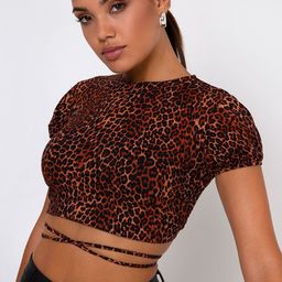 StyleCast Brown Animal Printed Puff Sleeve Styled Back Crop Top-image-25