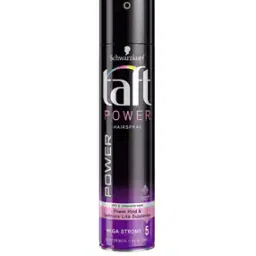 Taft Power Hair Spray Mega Strong 5 (D & D)-38