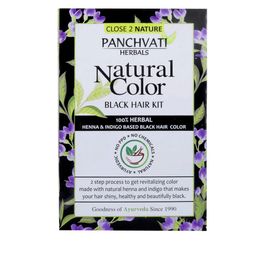 PANCHVATI HERBALS Black Ayurvedic 100% Herbal Natural Hair Color-48