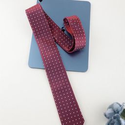 Alvaro Castagnino Men Printed Skinny Tie-picture-5