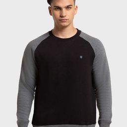 ColorPlus Men Plus Size Colourblocked Sweatshirt-picture-22