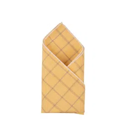Alvaro Castagnino Men Checked Pocket Squares-image-59