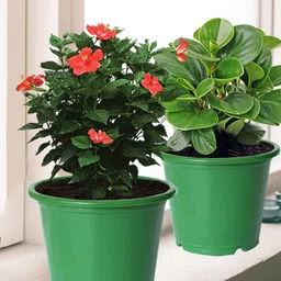 Kuber Industries Set Of 8 Green Solid Layered Plastic Planters With Drainage Hole-47