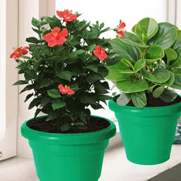 Kuber Industries Set of 8 Flower Pots-61