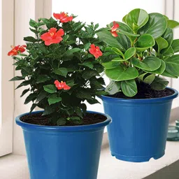 Kuber Industries Pack of 8 Blue Solid Layered Plastic Flower Pot With Drainage Hole-36