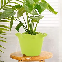 Kuber Industries Green 4 Pcs Blossom Flower Planters-26