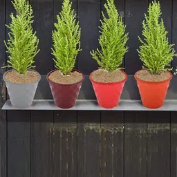 Kuber Industries Red 3 Pcs Plastic Brick Flower Pots-31
